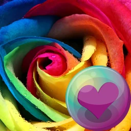 Icono de Beautiful Roses HD Wallpapers